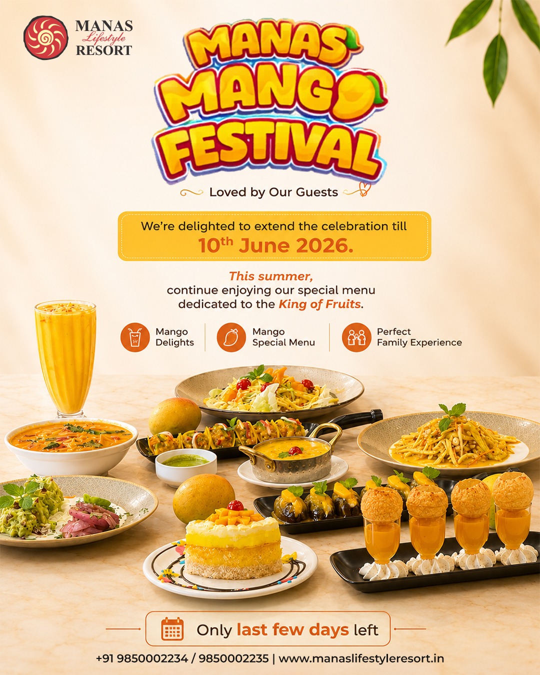 mango offer